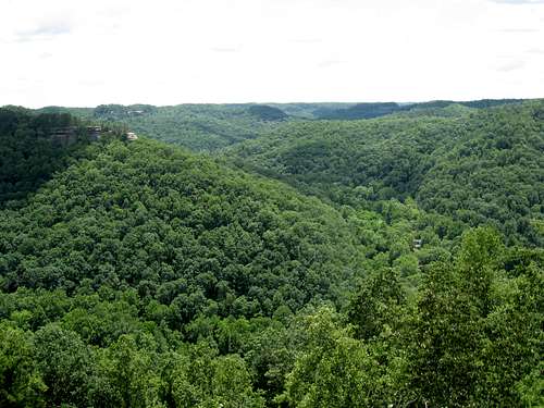 Red River Gorge from Raven Rock