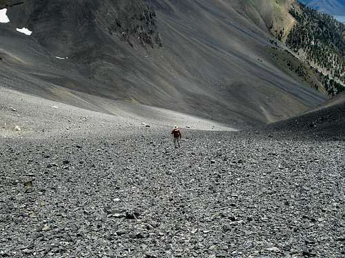 Zach in the Endless Scree