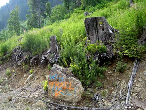 Comox Glacier Trailhead