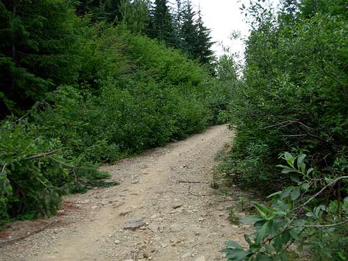 Mount Margaret Road-Trail
