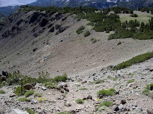 Looking at the edge of the scree slope