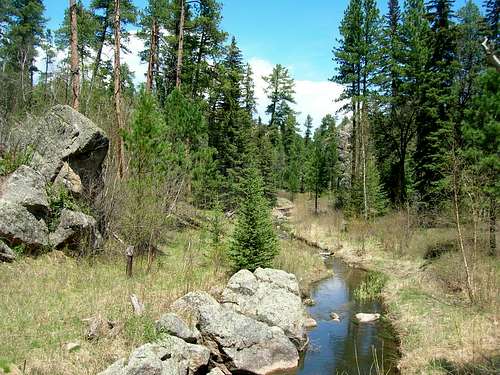 Iron Creek, in the Black Elk Wilderness