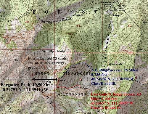 Forgotten Peak Topographic.