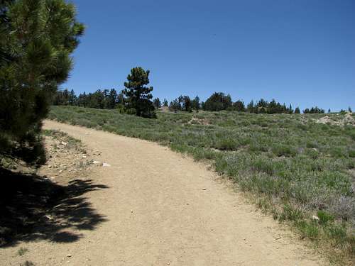 Dirt Road on Pinos