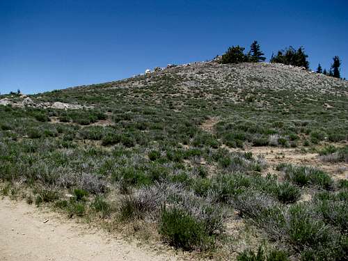 subsummit east of Pinos