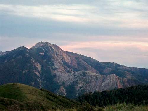 Mt. Ogden
