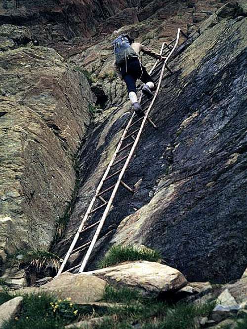 a short ladder on the path to...