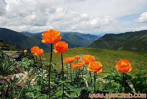 Altay nature