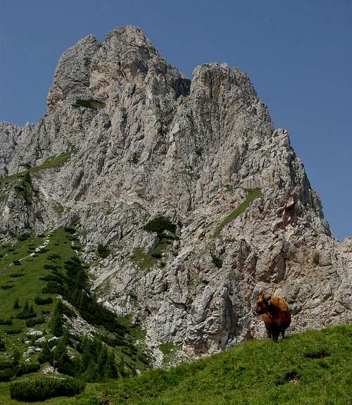 Torrioni dei Longerìn