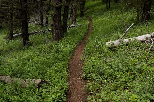 Pebble Creek Trail