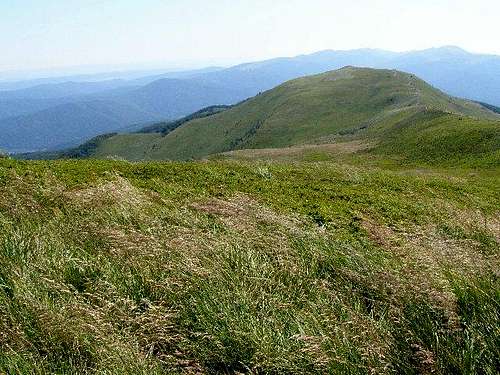 Carynska Meadow - Highpoint 1234 m