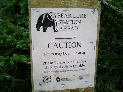Bear Lure Station