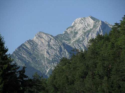 Krnica above trees