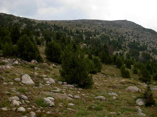 Wolframite Mountain