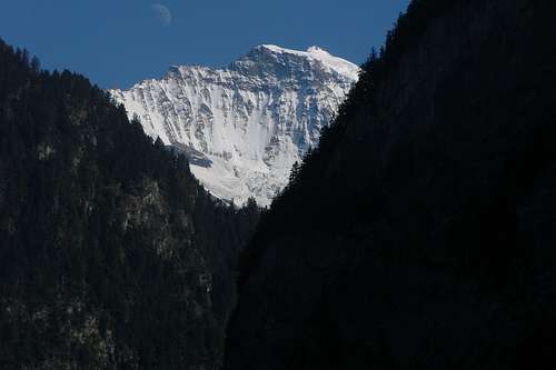 Jungfrau from Luetschine valley