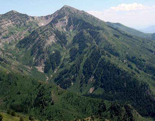 Provo Peak via West Ridge
