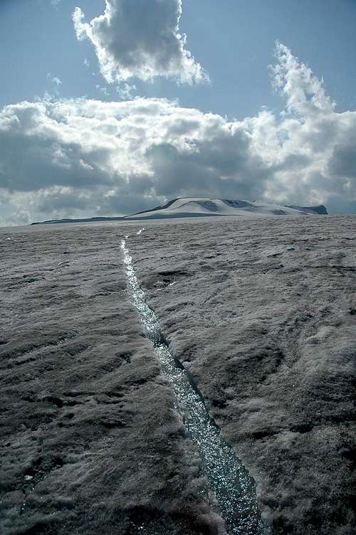 Wapta Icefield expanse