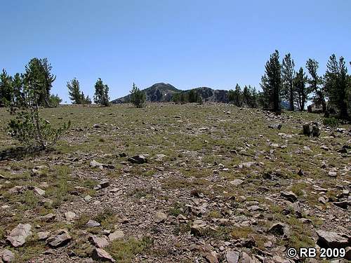 McAfee Peak