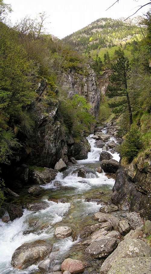 A river in the Posets massif. 2006.05.13