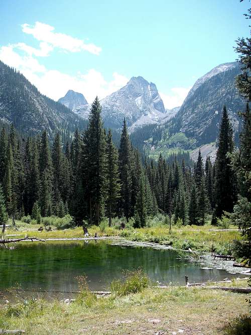 Beaver Pond