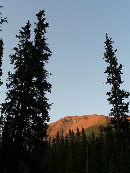 Mt. Columbia from treeline at dusk
