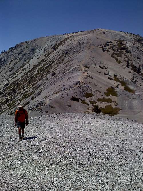 Working our way up Mt. Harwood.  Mt. Baldy in the background.