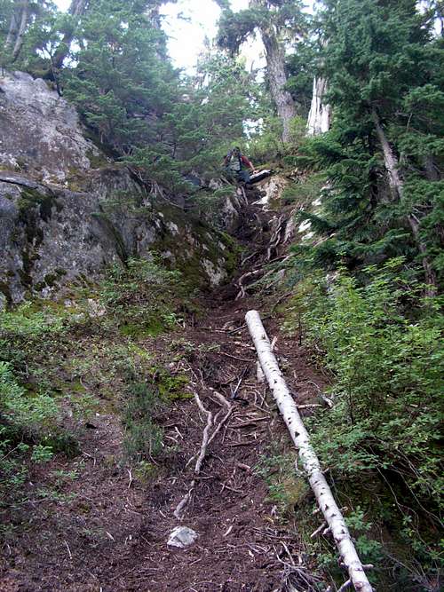 Climber's path