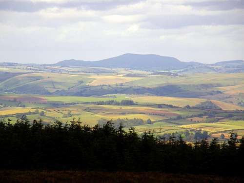 Corndon Hill in Wales at 513 metres