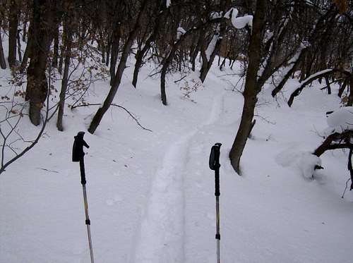 Try to time your winter ascent after someone else has broken trail...