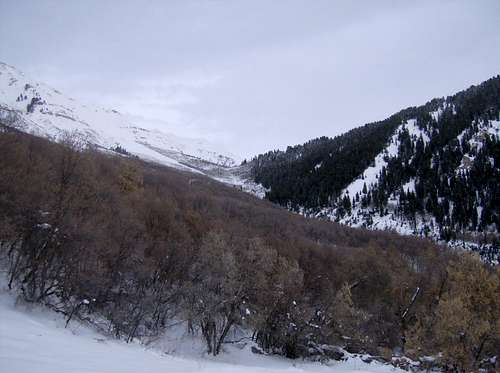 Looking at the saddle from Battlecreek Canyon