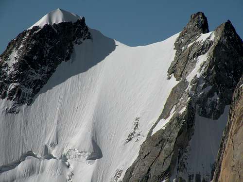 Aigille Blanche de Peuterey