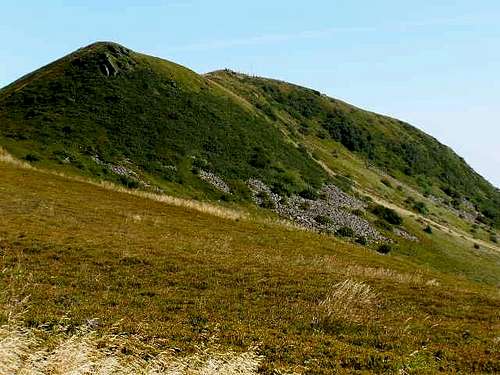 South slope od Mount Tarnica (1346 m)