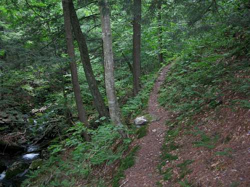 Pine Hill-West Branch trail