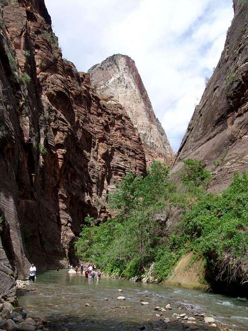 Zion Narrows just 1 forth of a mile up