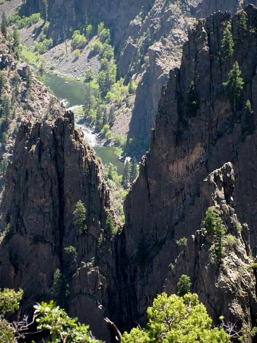 Gunnison River from Tomichi Point