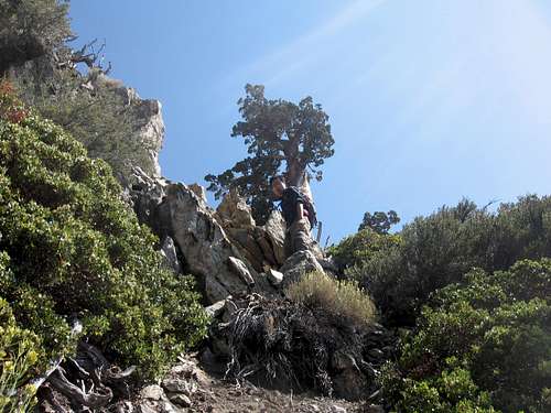 Along the ridgeline