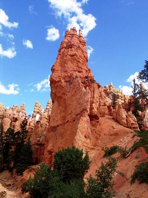 Bryce Canyon: The hub of beauty 