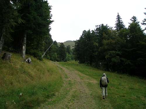 First steps towards the Plomb du Cantal