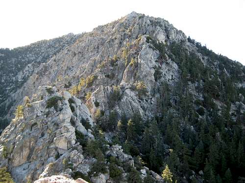 The pinnacled ridge