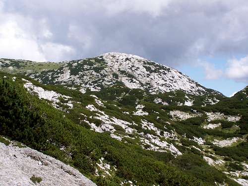 Črni vrh (1923 m)