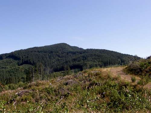 McDonald Mtn Towers from Clearcut