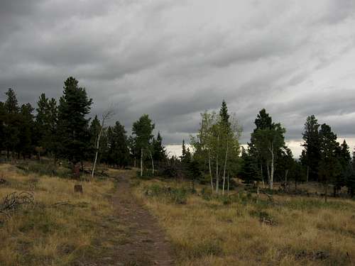 Ominous clouds over Horn Creek Trail