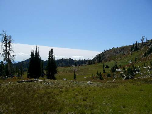 West Mountains Meadows