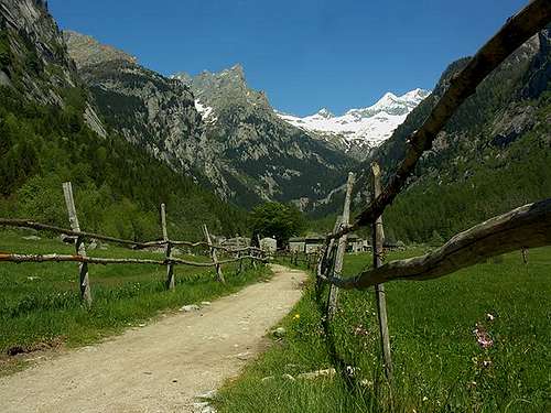 Path in Mello's Valley