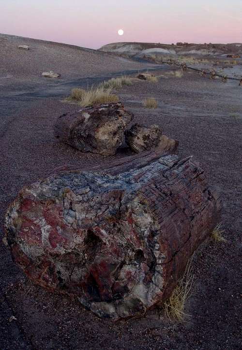 Petrified Forest NP and Moon