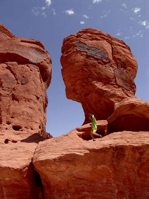 Redhead in Valley of Fire NV