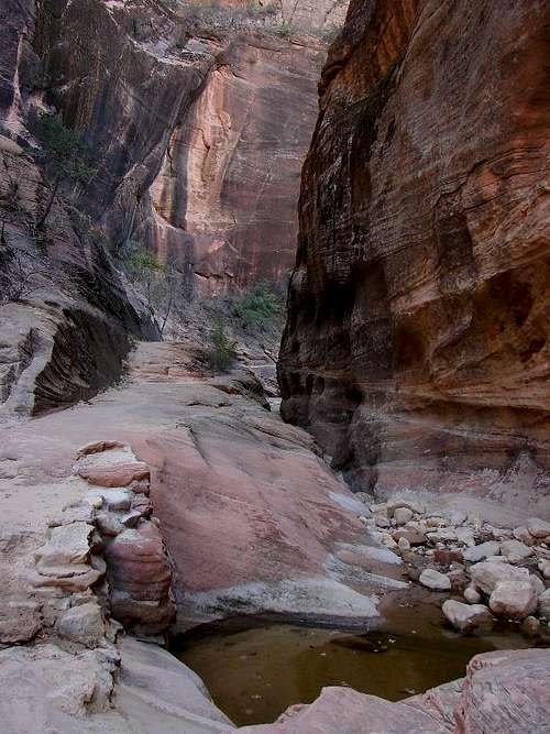 Zion_To Observation point_Canyon