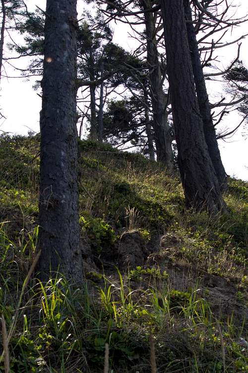 Steep hillsides are prone to erosion
