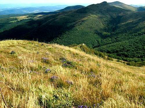 View from eastern slope of Mount Bukowe Berdo (1313 m)