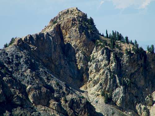 Willard Peak